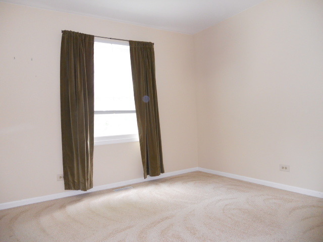 455 River Front Cir, Naperville, IL 60540 photo 21