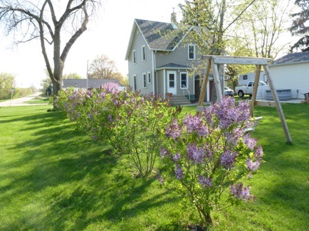 712 Dewey St, Harvard, IL 60033 photo 2