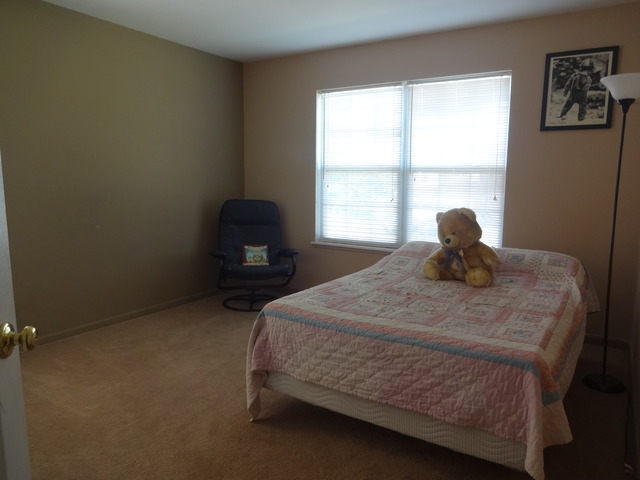 1356 Normandy Ln, Bartlett, IL 60103 photo 15