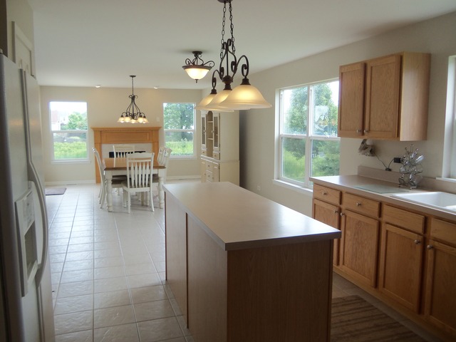 16451 Deer Ridge Dr, Plainfield, IL 60586 photo 9
