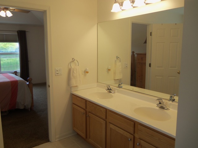 16451 Deer Ridge Dr, Plainfield, IL 60586 photo 14