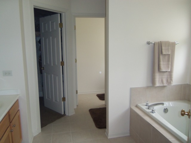 16451 Deer Ridge Dr, Plainfield, IL 60586 photo 13