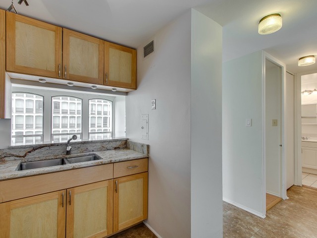 1451 E 55th St #526n, Chicago, IL 60615 photo 7