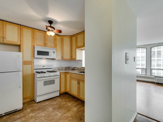 1451 E 55th St #526n, Chicago, IL 60615 photo 6