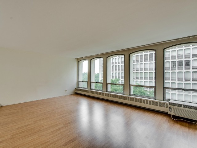 1451 E 55th St #526n, Chicago, IL 60615 photo 3