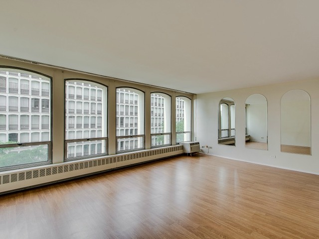 1451 E 55th St #526n, Chicago, IL 60615 photo 4