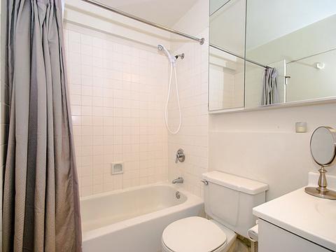 40 E 9th St #1012, Chicago, IL 60605 photo 11