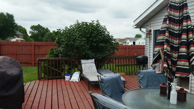 506 E 27th St, Sterling, IL 61081 photo 17