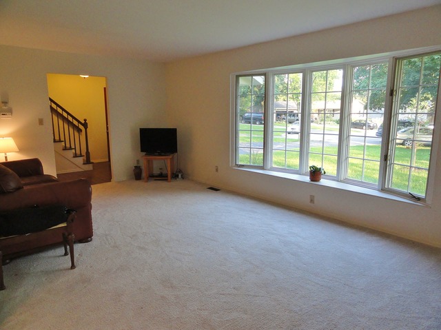326 Suffield Ct, Geneva, IL 60134 photo 5
