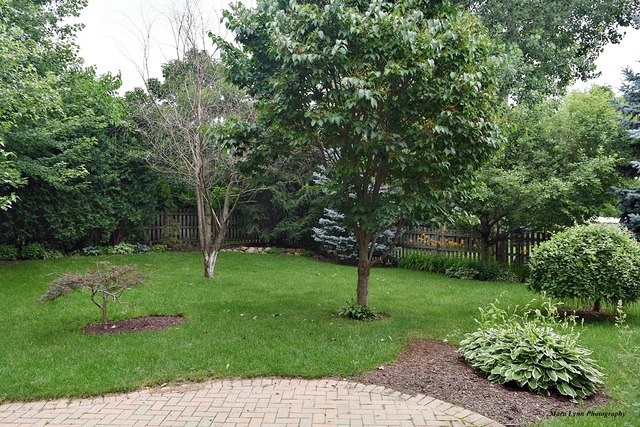 4752 Oregon Trl, Mchenry, IL 60050 photo 25