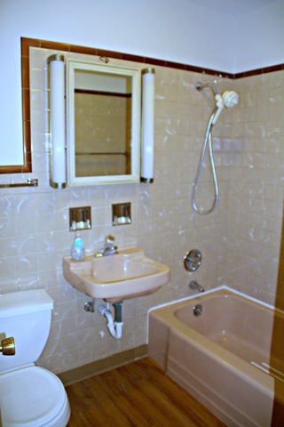 501 Ambleside Rd, Des Plaines, IL 60016 photo 15
