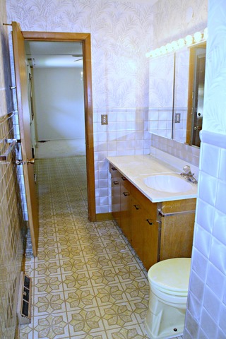 501 Ambleside Rd, Des Plaines, IL 60016 photo 11