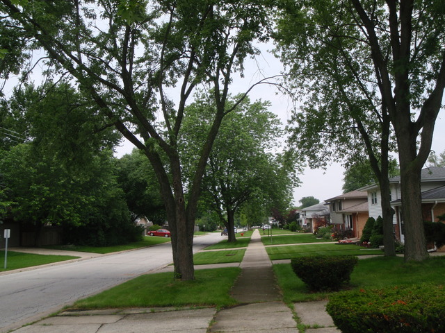 14859 Long Ave, Oak Forest, IL 60452 photo 3