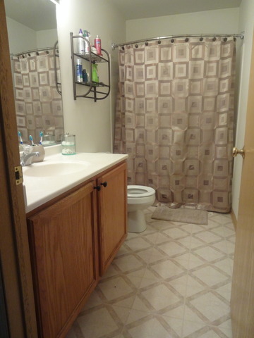 3217 S 49th Ave, Cicero, IL 60804 photo 6