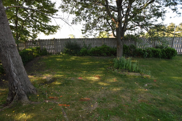 203 Seafarer Dr, Grayslake, IL 60030 photo 21
