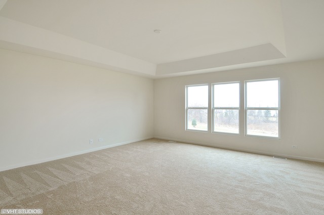 12410 Blue Iris Ln, Plainfield, IL 60585 photo 7