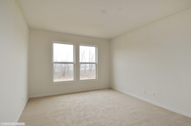 12410 Blue Iris Ln, Plainfield, IL 60585 photo 12
