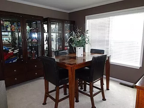 14601 Samuel Adams Dr, Plainfield, IL 60544 photo 12