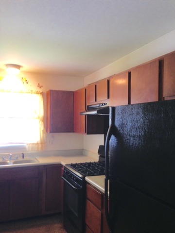 3909 Grand Ave, Mchenry, IL 60050 photo 4