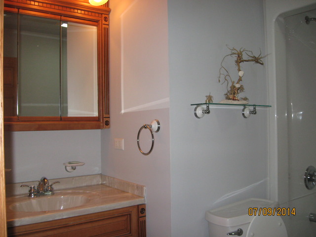 431 E 10th St, Lockport, IL 60441 photo 13