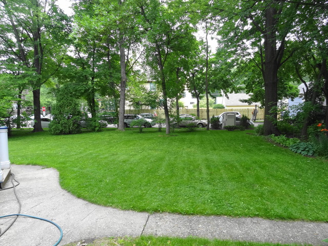 802 Madison St, Evanston, IL 60202 photo 24