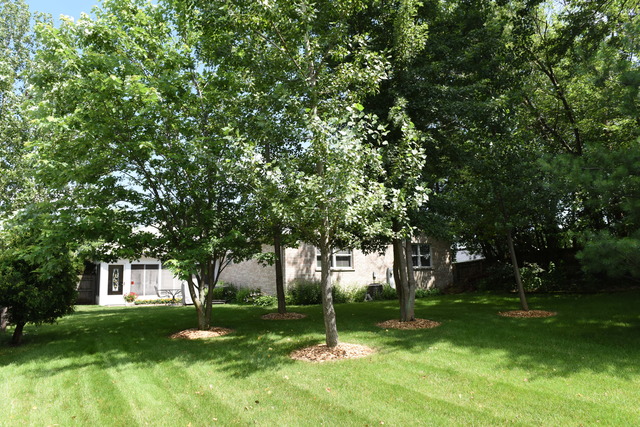 25720 S Middle Point Ave, Monee, IL 60449 photo 22
