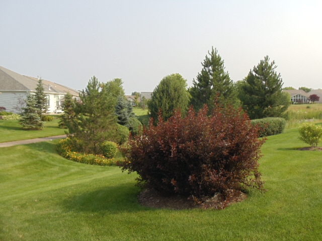 2454 Rolling Ridge Ln, Elgin, IL 60124 photo 2
