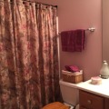 2454 Rolling Ridge Ln, Elgin, IL 60124 photo 8