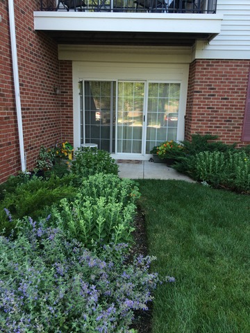 680 Mill Cir #105, Wheeling, IL 60090 photo 2