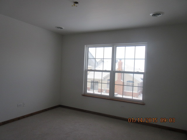 1154 Cherry Ln, Beecher, IL 60401 photo 11