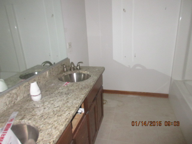 1154 Cherry Ln, Beecher, IL 60401 photo 9
