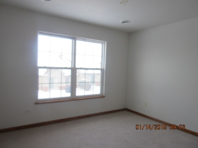 1154 Cherry Ln, Beecher, IL 60401 photo 10