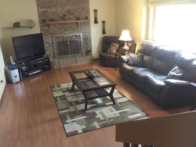 411 Ryan Cir, Matteson, IL 60443 photo 6