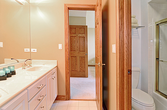 319 59th St, Willowbrook, IL 60527 photo 23