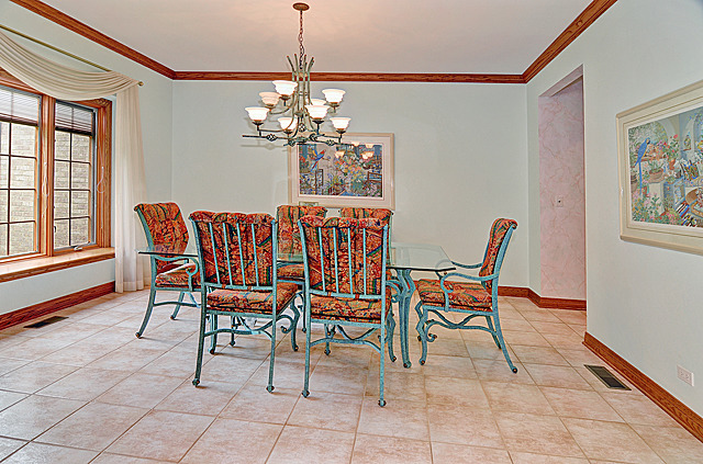 319 59th St, Willowbrook, IL 60527 photo 8
