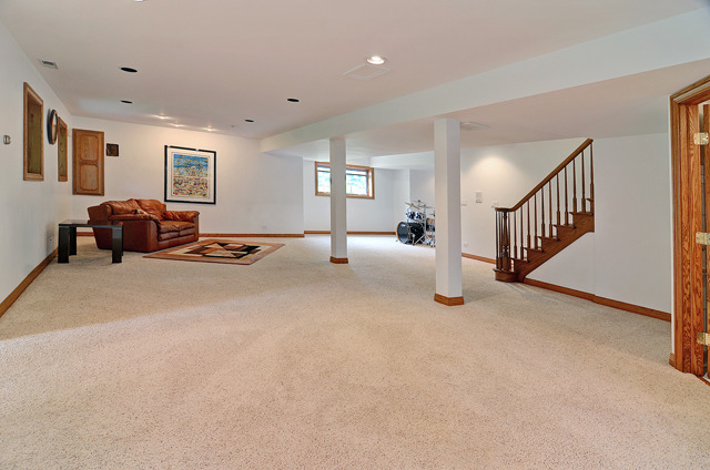 319 59th St, Willowbrook, IL 60527 photo 15