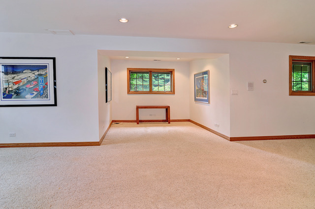 319 59th St, Willowbrook, IL 60527 photo 16