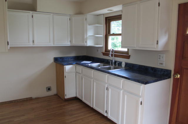 4221 Elm Ave, Lyons, IL 60534 photo 3