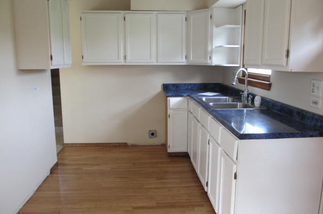 4221 Elm Ave, Lyons, IL 60534 photo 4
