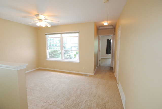 11 Brian Ct, Algonquin, IL 60102 photo 15