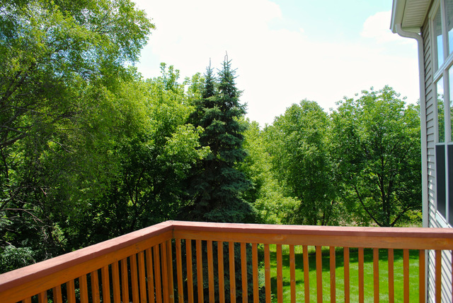 11 Brian Ct, Algonquin, IL 60102 photo 4