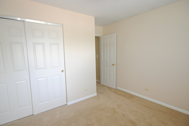 11 Brian Ct, Algonquin, IL 60102 photo 19