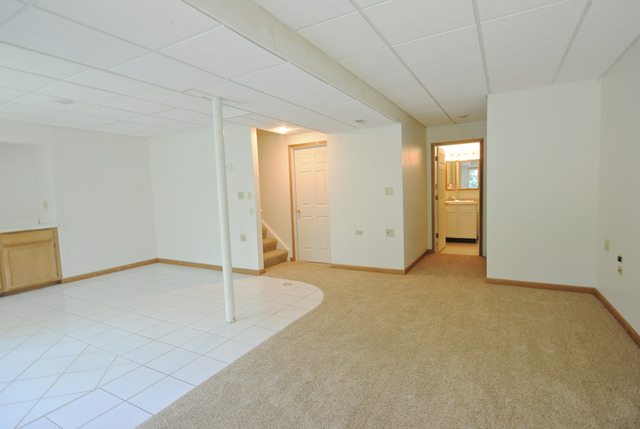 11 Brian Ct, Algonquin, IL 60102 photo 22