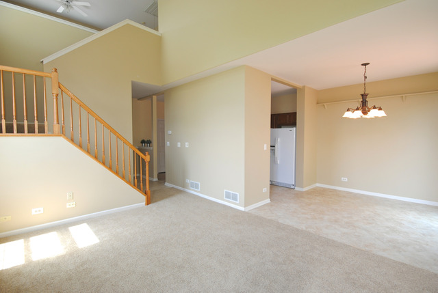 11 Brian Ct, Algonquin, IL 60102 photo 6