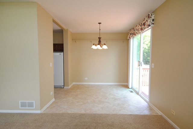 11 Brian Ct, Algonquin, IL 60102 photo 8
