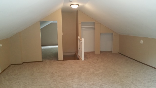 341 Simms St, Aurora, IL 60505 photo 16