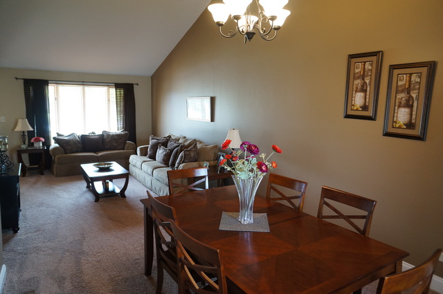 19432 Walnut St, Mokena, IL 60448 photo 6