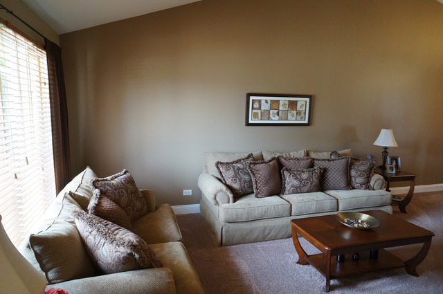 19432 Walnut St, Mokena, IL 60448 photo 3