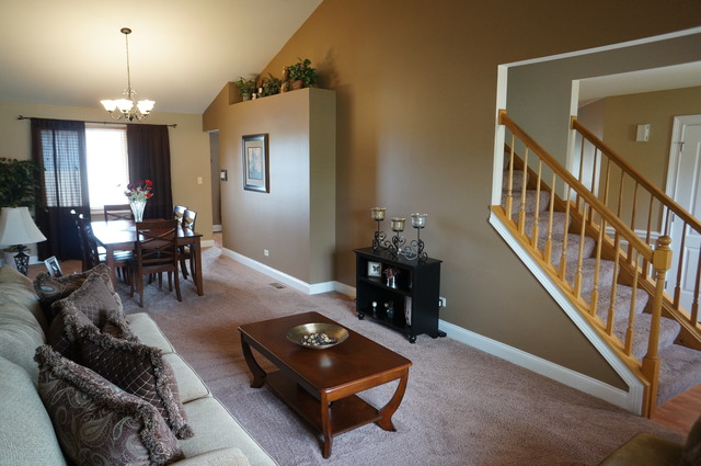 19432 Walnut St, Mokena, IL 60448 photo 4