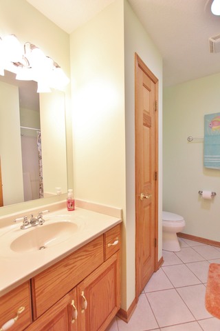 1496 Jo Lin St, Morris, IL 60450 photo 21